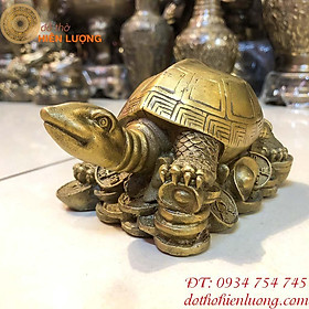 Mua Tượng Rùa Phong Thủy