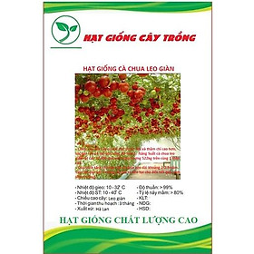 Hạt Giống Cà Chua Leo Giàn ( cà chua bạch tuộc ) CT285 - Gói 10 hạt