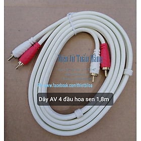 Mua Dây AV 4 đầu hoa sen 1 8m