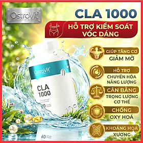 Ostrovit CLA 1000mg 90/180v – Chuyển hoá chất béo thành năng lượng, kết hợp tập luyện tăng Cơ, giảm thể trọng hiệu quả
