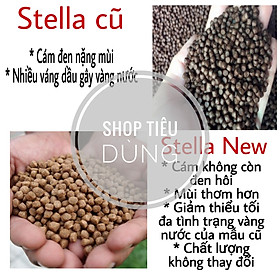 5kg  cám Stelllaa 40% Đạm Nổi Cho Cá Koi, Cá Lóc cá diêu hồng cá rô phi