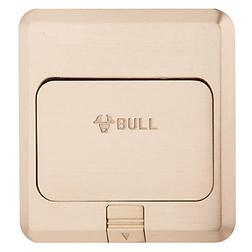 Ổ Điện BULL GD1Z223