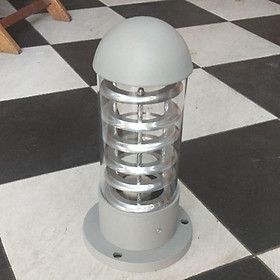 Mua Cây sân vườn cao 30cm ghi đầu tròn