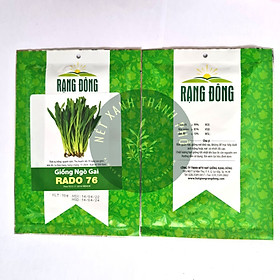 Hạt Giống Ngò Gai (Rau Thơm Mùi Tàu) Dễ Trồng, Sinh Trưởng Tốt (gói 10 gram) - Hạt giống Rạng Đông