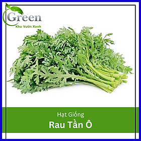 Hạt Giống Rau Tần Ô Lá Tròn 20 Gam