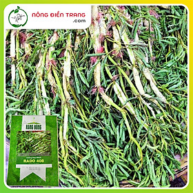Trồng cây rau rút bỏ túi 1 triệu đồng một ngày #43 Trồng cây rau rút bỏ túi 1 triệu đồng một ngày
