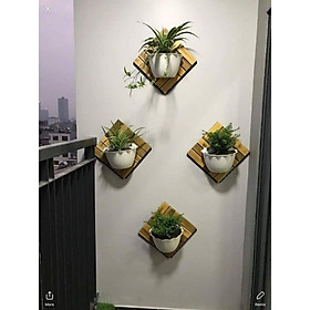 Chậu Ốp Tường Chất Lượng Cao TH Garden 25x16x16cm - Chậu Nhựa Trồng Cây Treo Tường Bán Nguyệt Hình Tim - Chậu Trồng Cây Cỡ Vừa