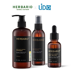 Bộ sản phẩm chăm sóc tóc Dầu gội Herbario 300ml + Nước dưỡng tóc Herbario