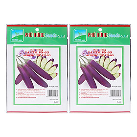 Bộ 2 Gói Hạt Giống Cà Tím PN-65 Phú Nông (0.2g / Gói)