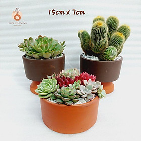 Chậu đất nung Bình Dương - Trụ lùn, miệng chậu 15cm, chiều cao 7cm