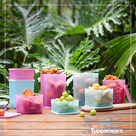 Bộ Hộp Tupperware Bảo Quản Thực Phẩm Pop Fiesta - Hàng Chính Hãng