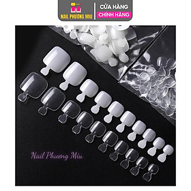 Túi Móng Úp Chân HSM Cao Cấp 500 Móng Đủ Size, Nhựa Dẻo Siêu Mỏng, Bám Keo Tốt, Form Chuẩn Cho Làm Nail giả Dễ Sử Dụng