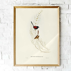 Mua Tranh Canvas treo tường chim sẻ nâu - B007