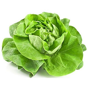 Mua Hạt giống Xà lách búp đăm  đóng gói 2gr