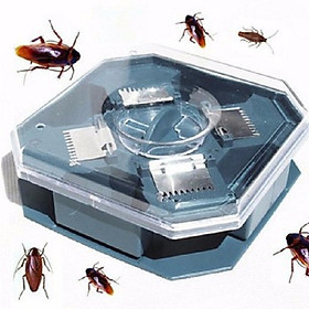 Mua Máy bắt gián thông minh