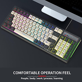 96 Keys Wired Gaming Keyboard, RGB Lighting, Ergonomic Two Color Injection Molding Membrane Keyboard, for PC Gamers Computer Office Laptop