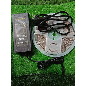 Mua Led đuổi 5m RGB nhiều màu 12v