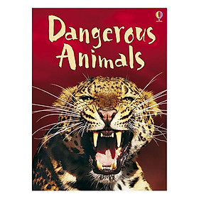 Usborne Dangerous Animals