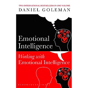 Hình ảnh sách Emotional Intelligence & Working with Emotional Intelligence