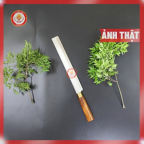 Mua Dao thái sashimi thép trắng không gỉ