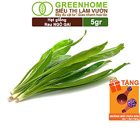 Mua Hạt Giống Ngò Gai Greenhome  Gói 5gr  Mùi Tàu  Dễ Trồng Quanh Năm  Nảy Mầm Cao  Thu Hoạch Nhanh  Năng Suất Cao G08