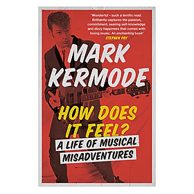 How Does It Feel?: A Life Of Musical Misadventures