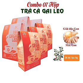 Combo 07 Hộp Trà Cà gai leo Thái Hưng 25 túi lọc x 05g- Mát gan, giải độc