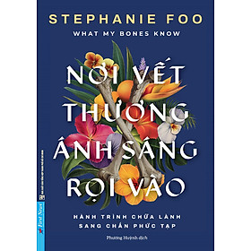 NƠI VẾT THƯƠNG ÁNH SÁNG RỌI VÀO – Stephanie Foo – Phương Huỳnh dịch – First news – NXB Tổng hợp HCM