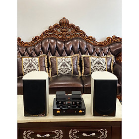 Dàn nghe nhạc cao cấp âm ly AV880 kết hợp loa nghe nhạc D18H cổng hưởng âm thanh cao cấp. HÀNG CHÍNH HÃNG