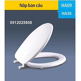 Mua HA09T (thường) -  Nắp bồn cầu nhựa thông dụng