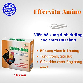 Effervita Amino Vitamin - Viên Bổ Sung Dưỡng Chất Phát Triển Cho Chó Mèo, gà đá, chim ,Hộp 10 Viên