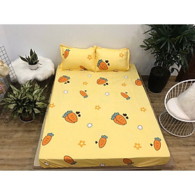 Ga Chống Thấm Cotton Poly Nằm Trực Tiếp