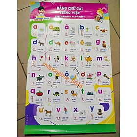 Combo 40 tờ tranh nhận biết bảng chữ cái và số