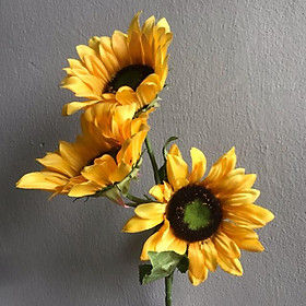 Mua Hoa hướng dương hoa lụa