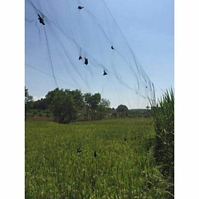 Lưới tàng hình bẫy chim thái lan giá rẻ ( 20m - 30m- 60m ) lưới bẫy chim đã làm sẵn về chỉ mang đi bẫy