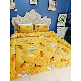 sét phao 5 món cotton poly chăn ga gối + vỏ ôm