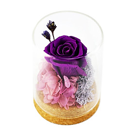 Hoa hồng thật vĩnh cửu được bảo quản trong lọ thủy tinh tỏa hương có thể làm quà tặng các dịp Ngày của mẹ, Valentine