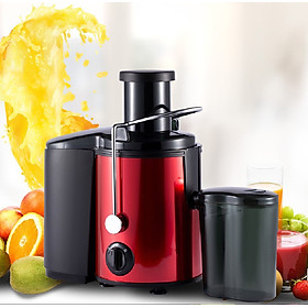 Mua Máy ép hoa quả SK- 4001