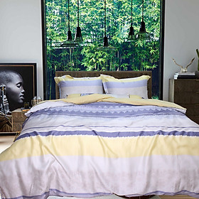 Bộ vỏ chăn ga gối 5 món lụa tencel Hàn Julia 875BM16