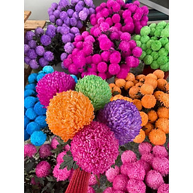 Mua Bột nhuộm hoa tươi màu Hồng Sen nhập khẩu Hiệu Premium Color (1 hủ 10L đến 12L nước màu nhuộm hoa) an toàn và chuyên nghiệp tại shop hoa tươi