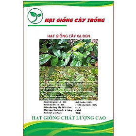 Mua Hạt Giống Cây Xạ Đen ( cây dược liệu ) CT204 - Gói 50 hạt
