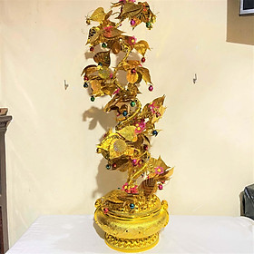 Mua Cây Kim Tiền Trang Trí Nhà Cửa Cao 80cm
