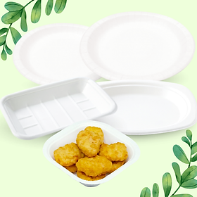 Mua Set 10 Dĩa Giấy Fest Thái Lan Dùng 1 Lần Nhiều Size
