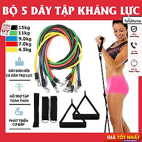 Dây Ngũ Sắc Tập Gym, Bộ 5 Dây Đàn Hồi Kháng Lực Tập Full Body, Dụng Cụ Tập Thể Hình Tại Nhà Đa Năng