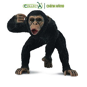 Mô hình thu nhỏ Tinh Tinh bố - Chimpanzee Male, hiệu CollectA