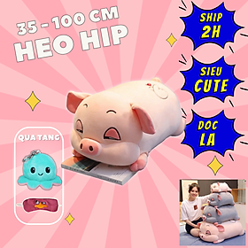 Gấu Bông Heo Mắt Híp 80 cm Siêu dễ Thương Hàng Loại 1,Lợn Phê Cần Heo Mắt Híp Siêu Cute