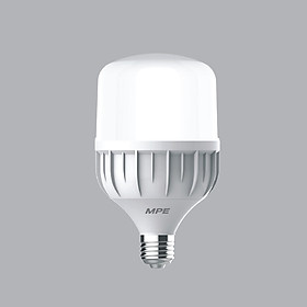 Bóng đèn LED 20W MPE LBD-20