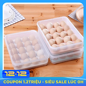 Hộp đựng trứng 24 quả tiện dụng Khay trứng 1 tầng nhựa Song Long cao cấp