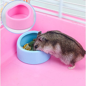 MÁNG ĂN XỨ CHO HAMSTER SIZE NHỎ