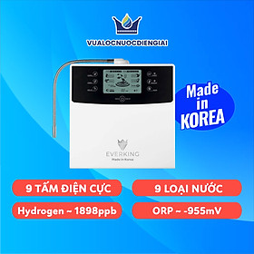 Mua Máy Lọc Nước Điện Giải EVERKING EK-99 - Hàng chính hãng
